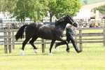 SBM_02370