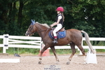 Dressage Competition portfolio