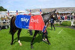 260725-Race 3-Royal Champion-0569