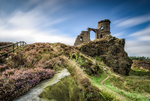 Heather on Mow Cop, Cheshire (1)
