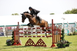 SBM_04033
