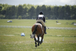 BVHT 140517  IXC -596