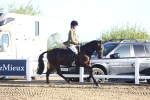 SBM_07875