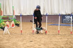 SBM_001048