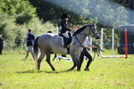 WJ6_3584