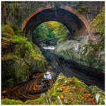 Tollymore Forest Old Bridge (IMG0917)