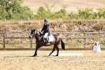 SBM_000743
