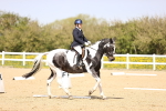 SBM_007961
