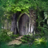Temple in the Forest