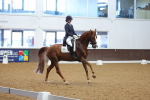 SBM_003145