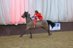 SBM_004452
