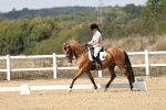 SBM_018642