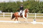 SBM_001588