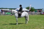 SBM_17467