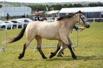 DSC05681