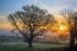 February Sunrise 2