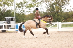 SBM_19094