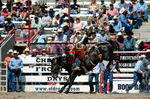 3HRodeo7-19-25_CFD_03825_