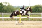 SBM_009543