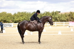 SBM_004938