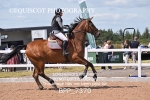 BPP_7370