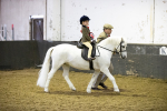 Class 27-28 - SP SHP Novice LR FR portfolio