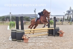 BPP_2540