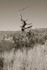 829_2968 copy