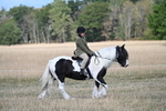 WJ7_6689
