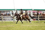 SBM_15804