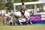 SBM_15073