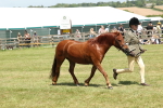 SBM_06857