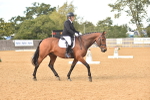 SBM_10170