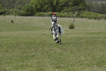 BVHT 140517  IXC -718