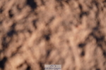 240505A-182514-07562