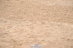 240720A-101349-13604