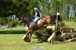 379-QUIZICAL_Z-Alice_Hallows-XC portfolio