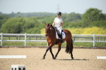 SBM_009597