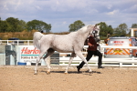 SBM_14375