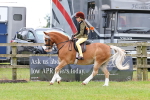 SBM_08745