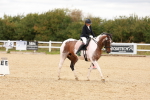 SBM_001854