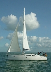 081009 VIN MARE 8CDX0098
