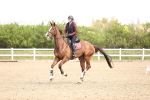 SBM_003634