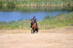 WJ6_7986