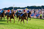 240726-Race 4-Rajaking-5340