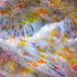 Autumn River Song