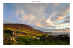 Eary Cushlin 2