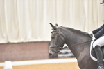 SBM_010274