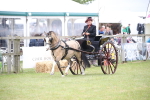 SBM_05946