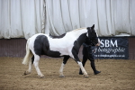 SBM_5344